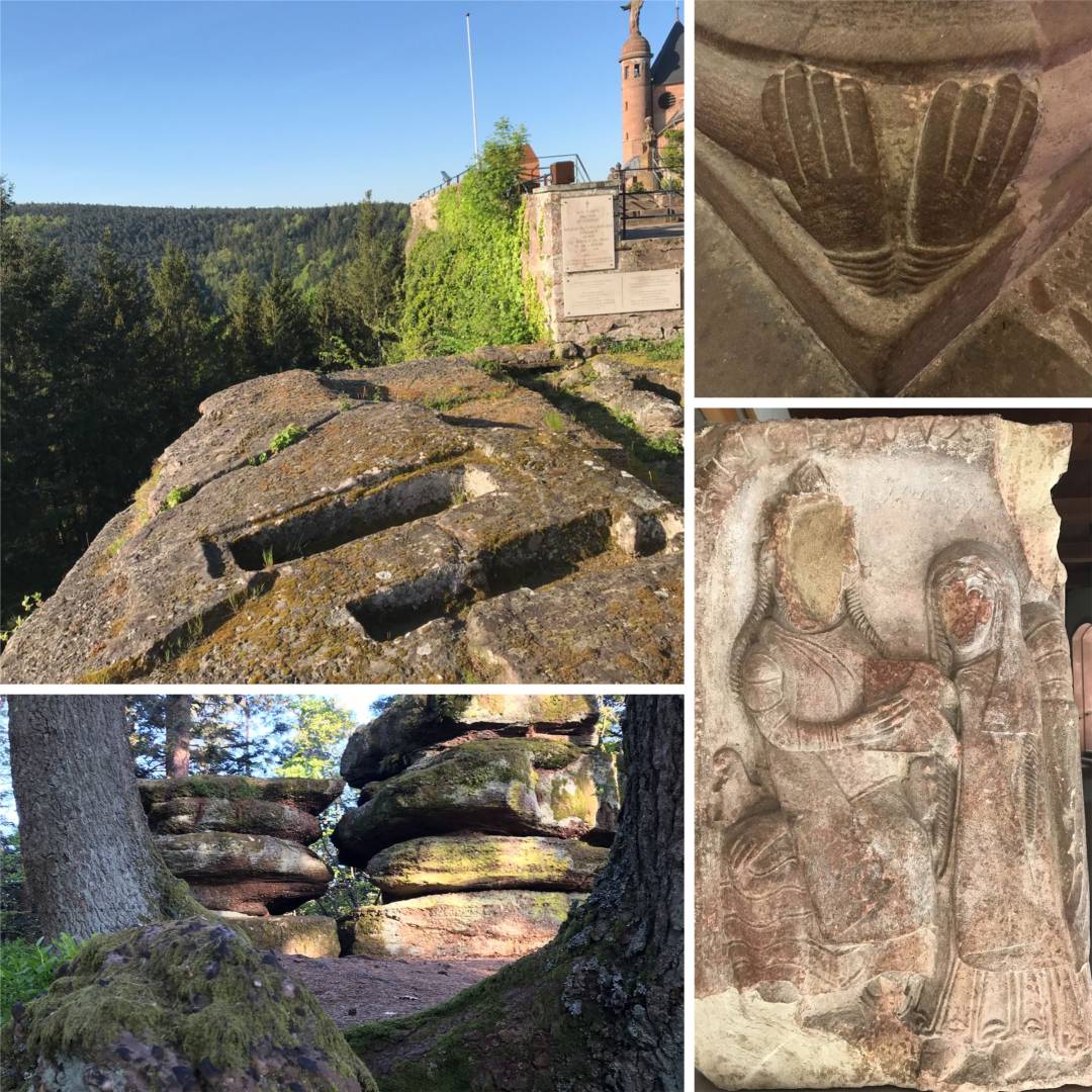 67fb876b6bb303ab19bc9941