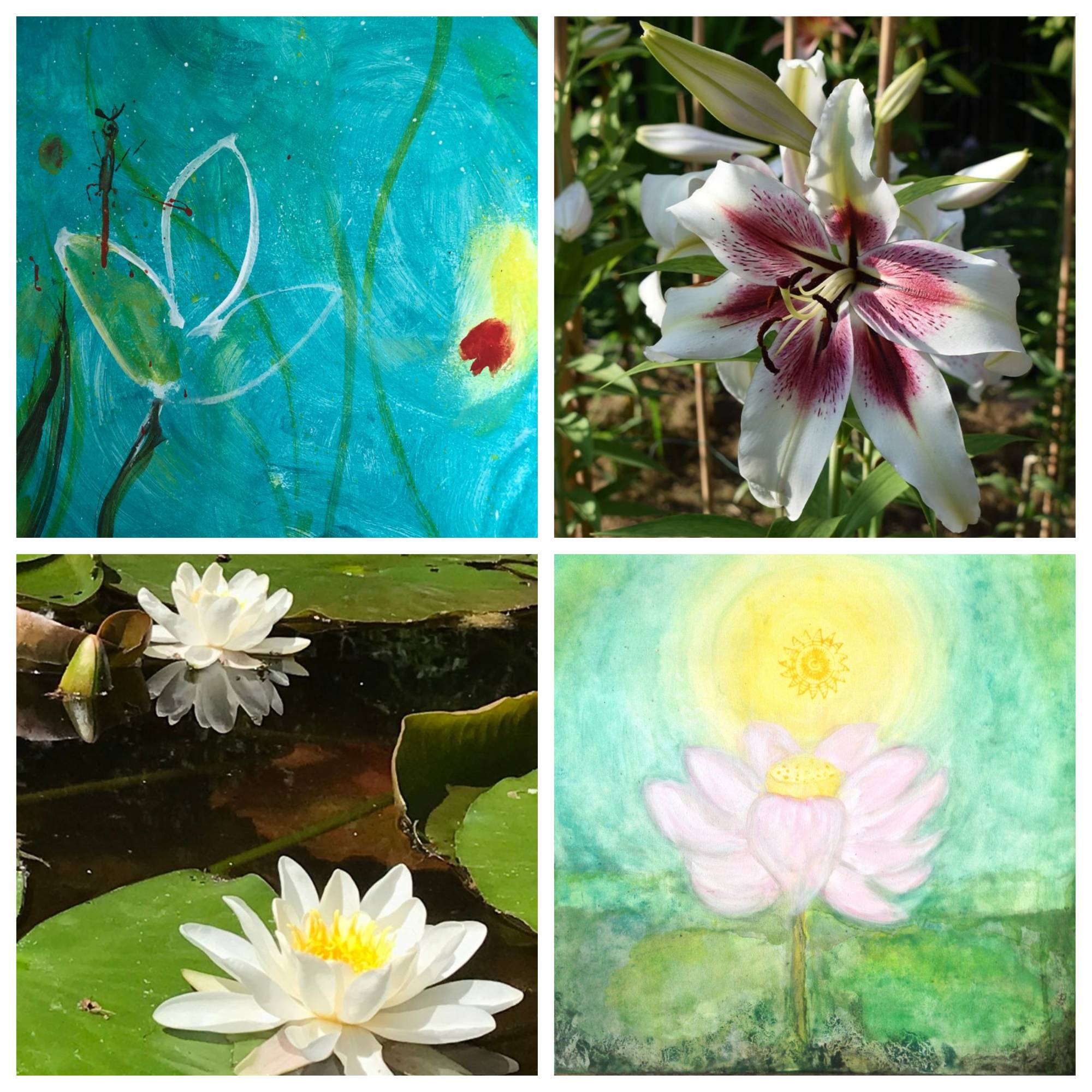 683d9deed29dd2de8a2512ca